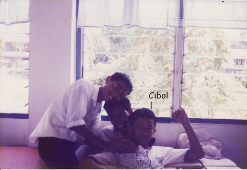 Cibol with friends