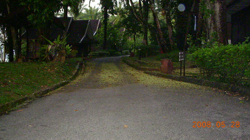 Road leading to the resort chalets