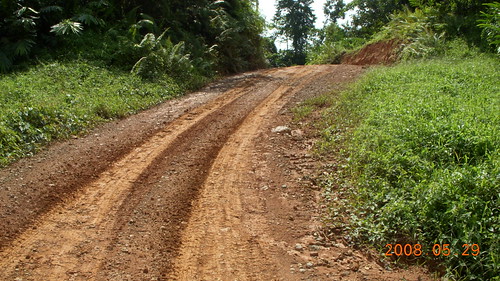 Logging track used to reach the project site
