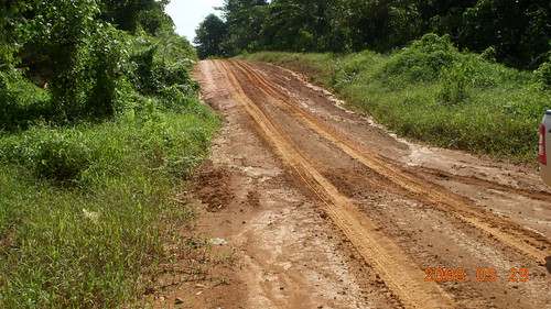 Dirt logging track near the project site
