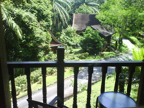 View from the chalet verandah