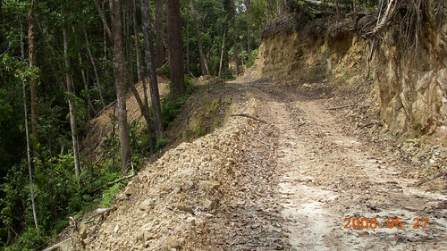 Road through the Tasik Kenyir area