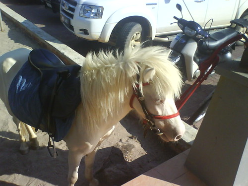 Unicorn figure seen at Batu Burok