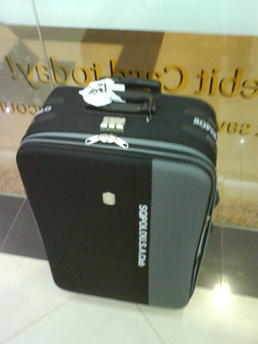 Large travel bag used for the move