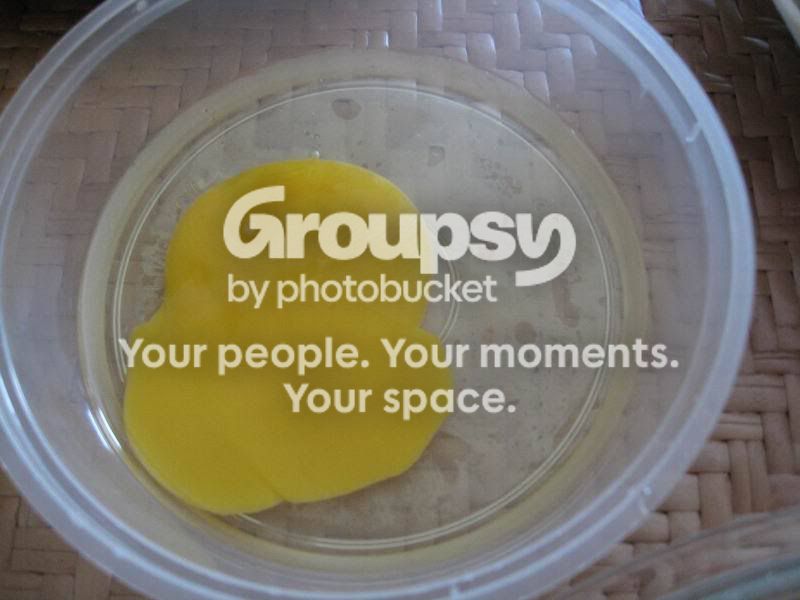 Egg white used as sealing paste for popiah
