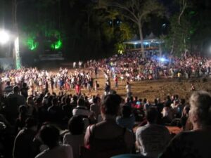 Night crowd on the muddy RWMF 2008 festival ground