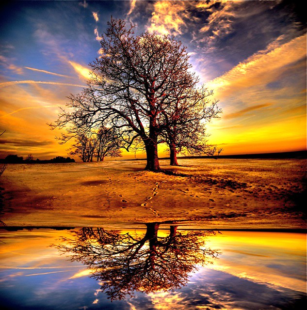 Reflective image from the original 2008 post